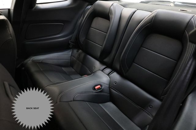 Ford Mustang Vehicle Image 14