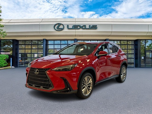 more details - lexus nx