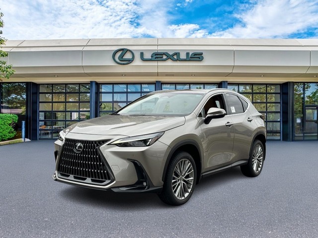 more details - lexus nx