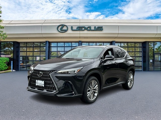 more details - lexus nx