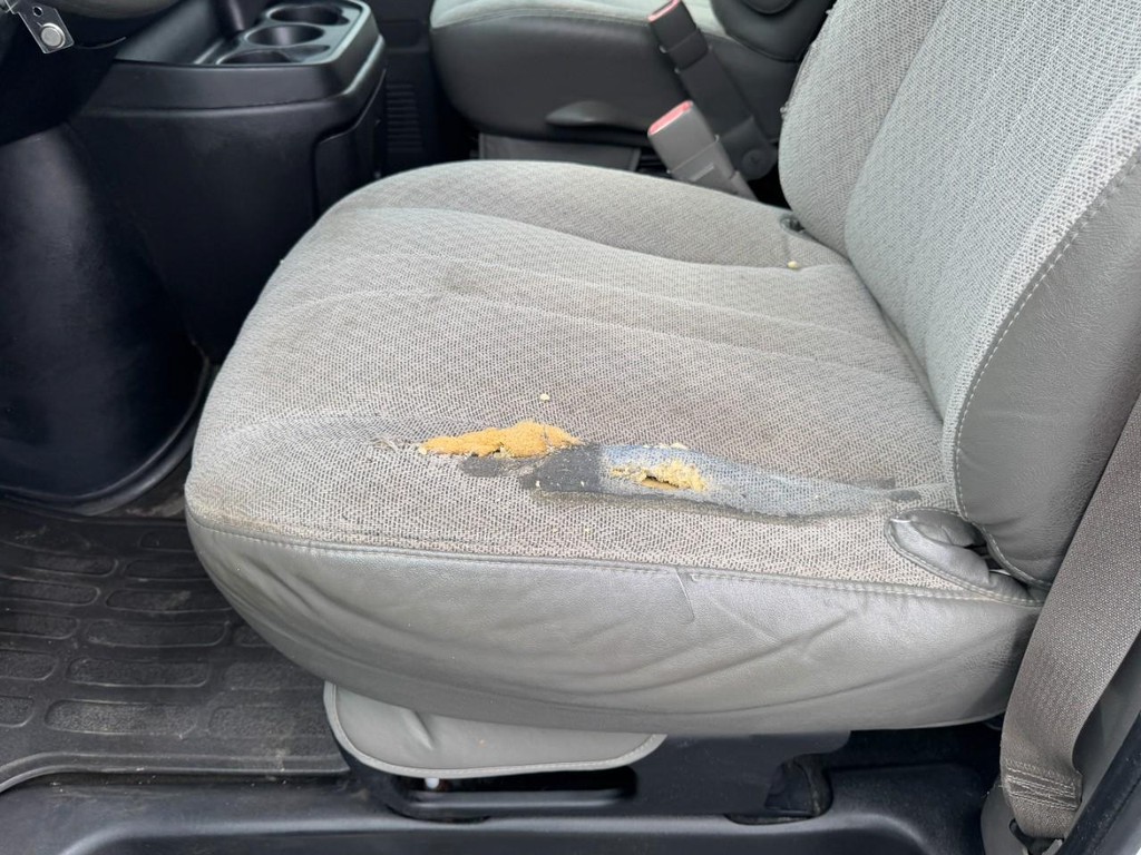 Chevrolet Express Passenger Vehicle Full-screen Gallery Image 11