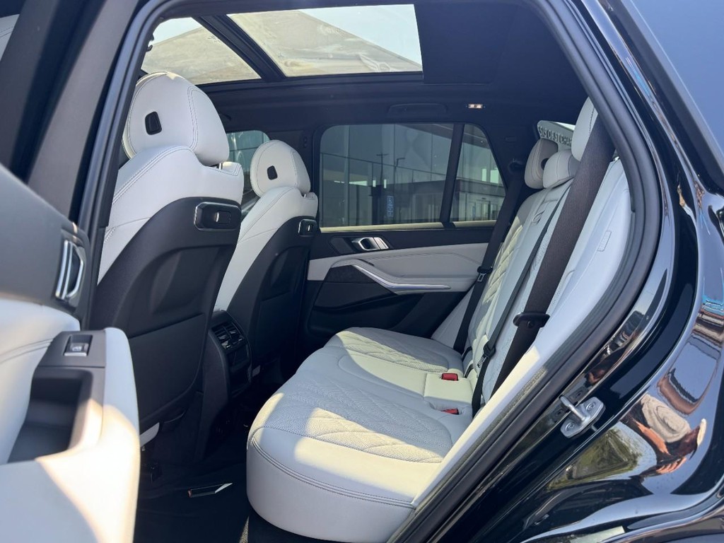 BMW X5 Vehicle Full-screen Gallery Image 10