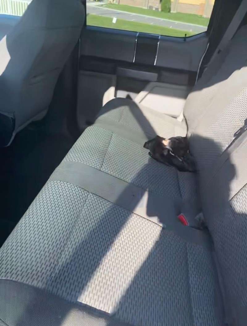 Ford F-150 Vehicle Full-screen Gallery Image 8