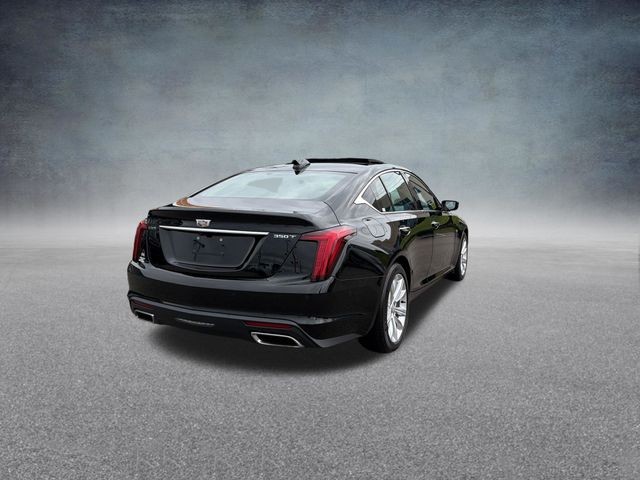 Cadillac CT5 Vehicle Full-screen Gallery Image 06