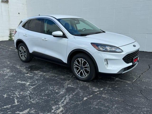 Used 2022 Ford Escape SEL with VIN 1FMCU9H69NUA66881 for sale in Saint Louis, MO