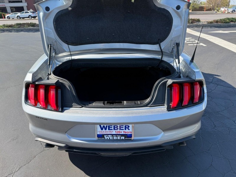 Ford Mustang Vehicle Full-screen Gallery Image 5