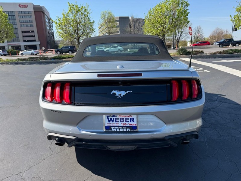 Ford Mustang Vehicle Full-screen Gallery Image 6