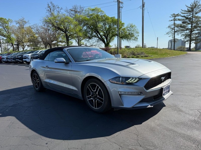 Ford Mustang Vehicle Full-screen Gallery Image 8
