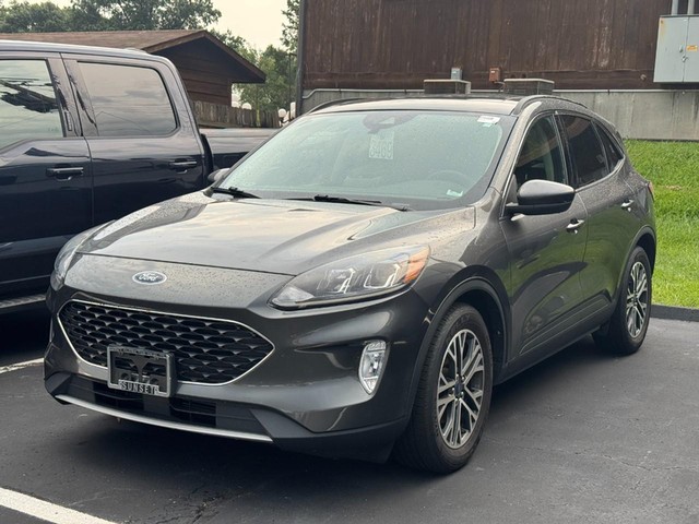 St. Louis MO 2020 Ford Escape more details - ford escape