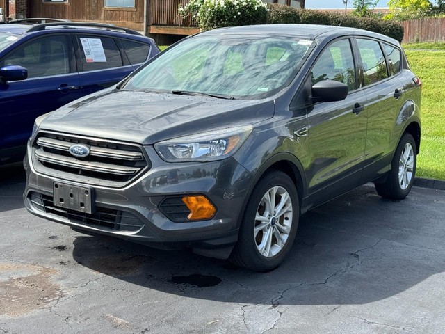 St. Louis MO 2019 Ford Escape more details - ford escape