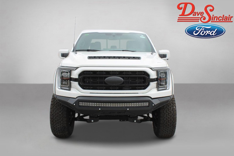 Ford F-150 Vehicle Image 02