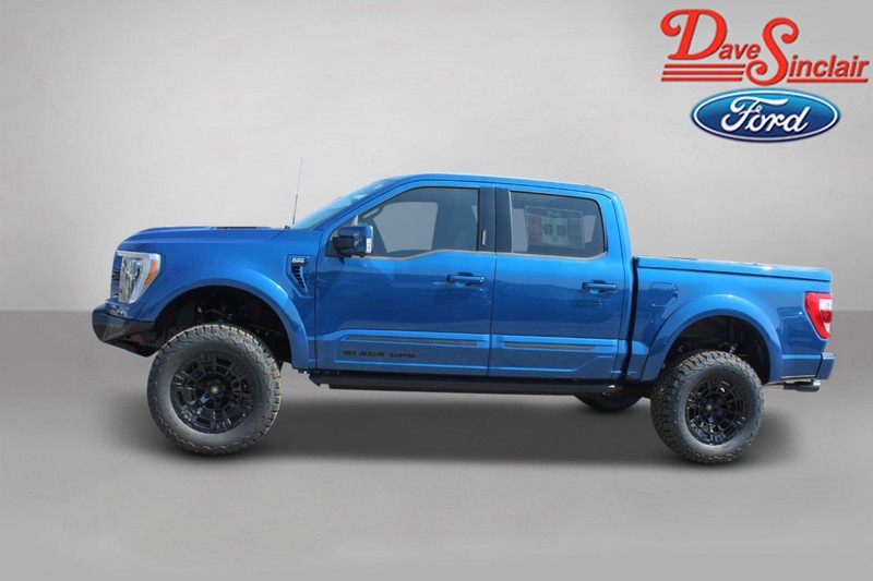 Ford F-150 Vehicle Image 08