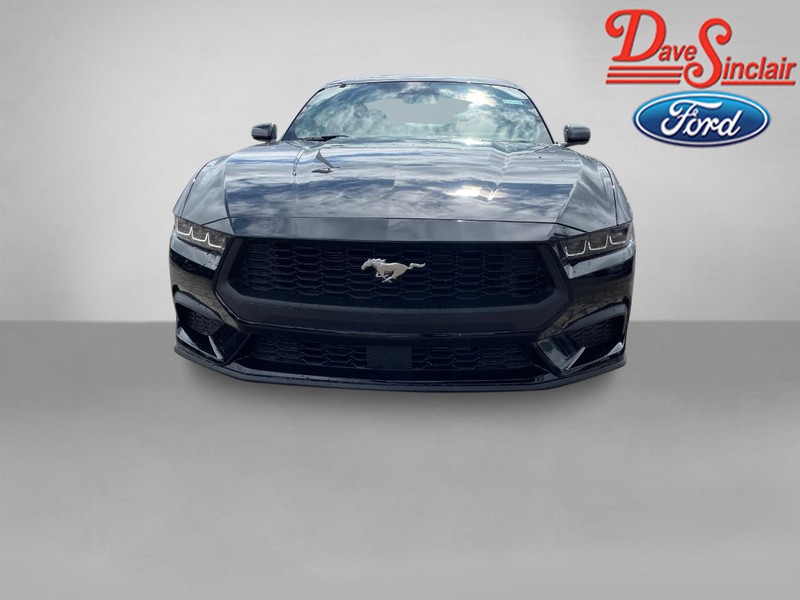 Ford Mustang Vehicle Image 02