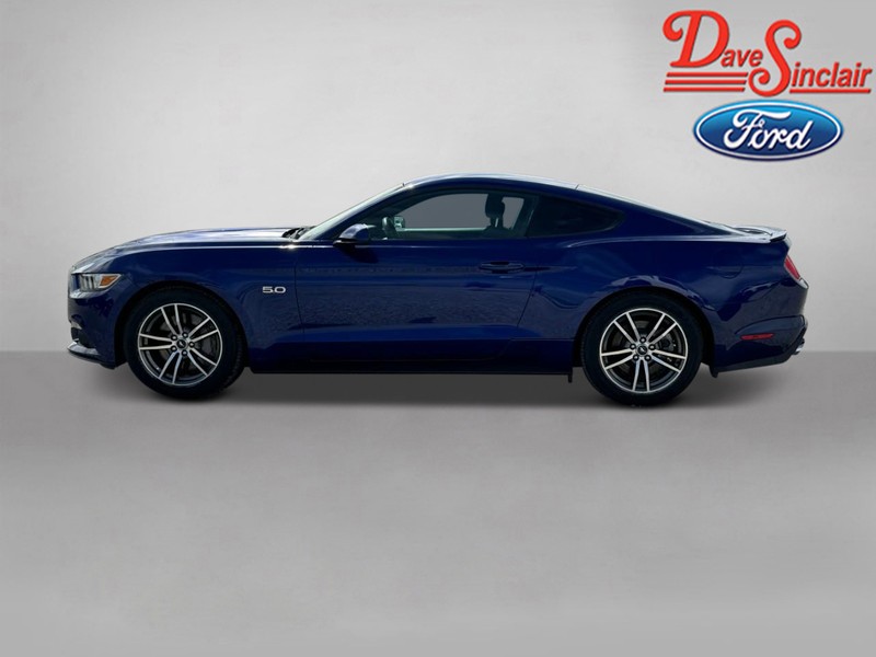 Ford Mustang Vehicle Image 08