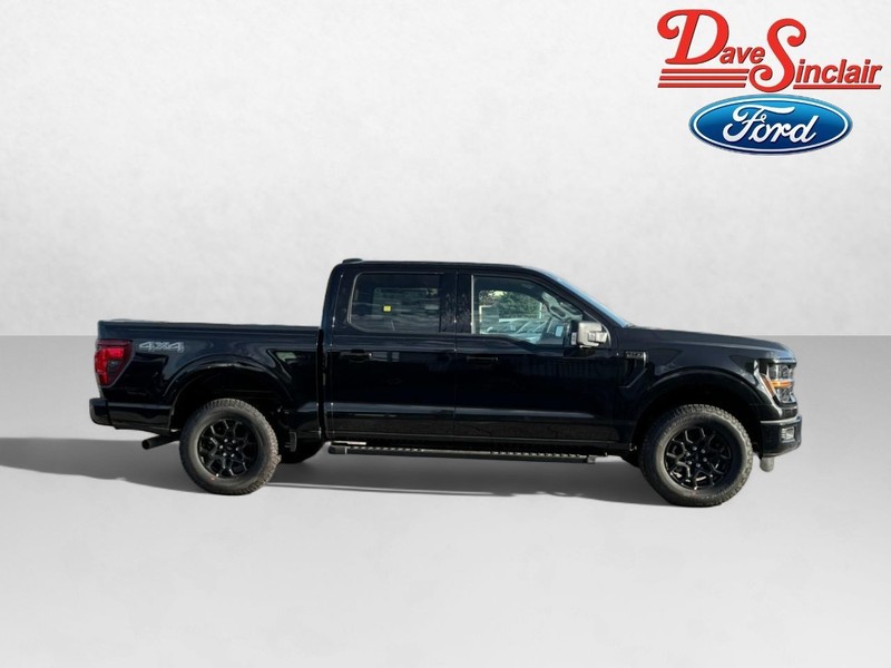 Ford F-150 Vehicle Image 04
