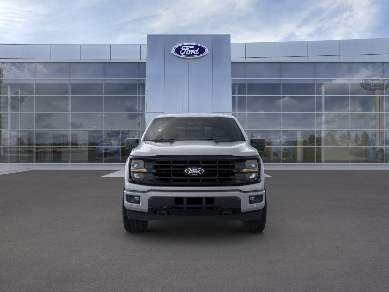 Ford F-150 Vehicle Image 06