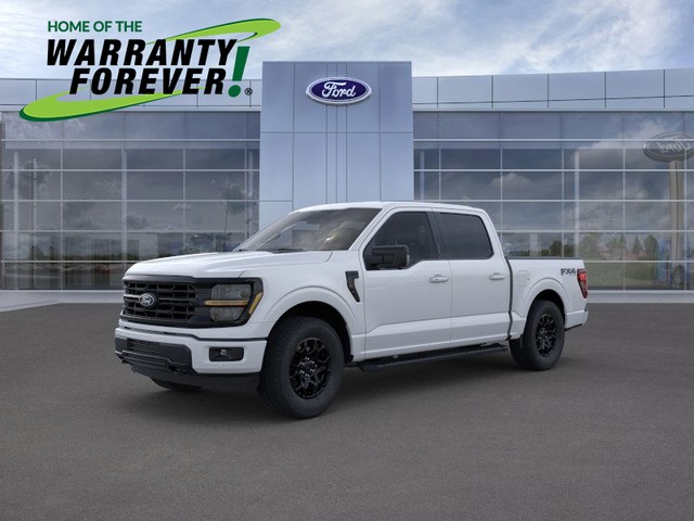 more details - ford f-150