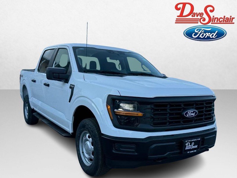 Ford F-150 Vehicle Image 04
