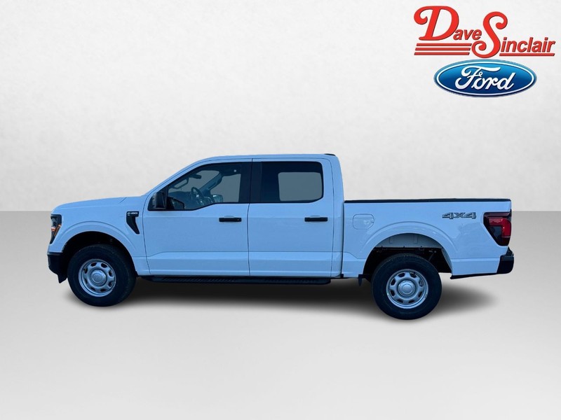 Ford F-150 Vehicle Image 09
