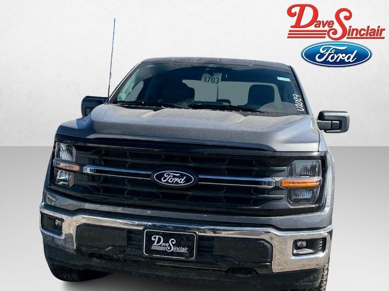 Ford F-150 Vehicle Image 02