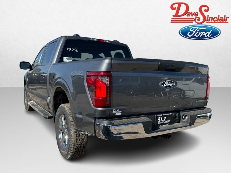 Ford F-150 Vehicle Image 09