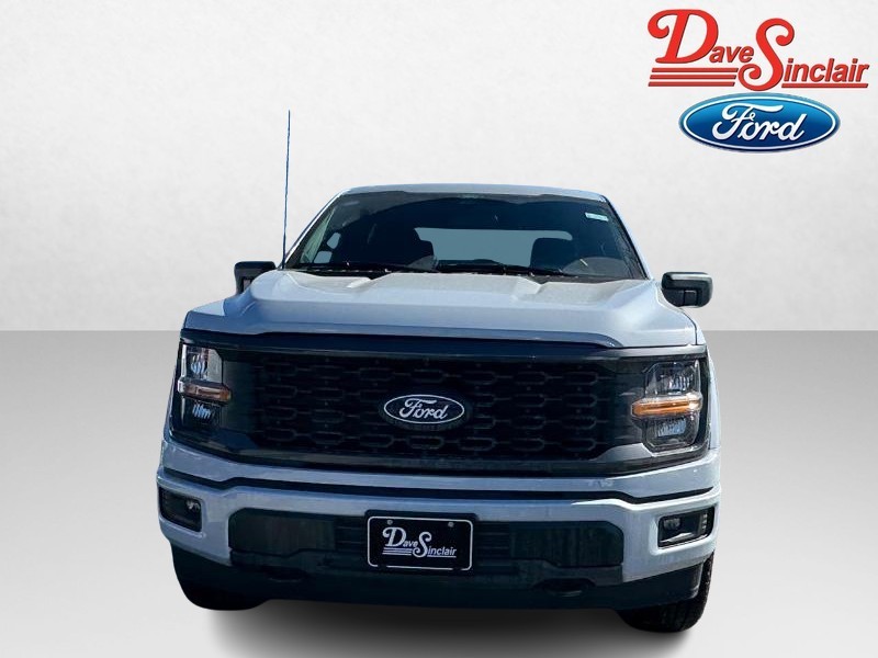 Ford F-150 Vehicle Image 02