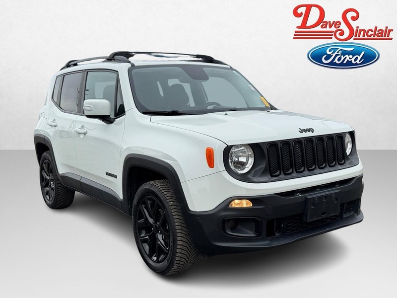 Jeep Renegade Vehicle Image 04