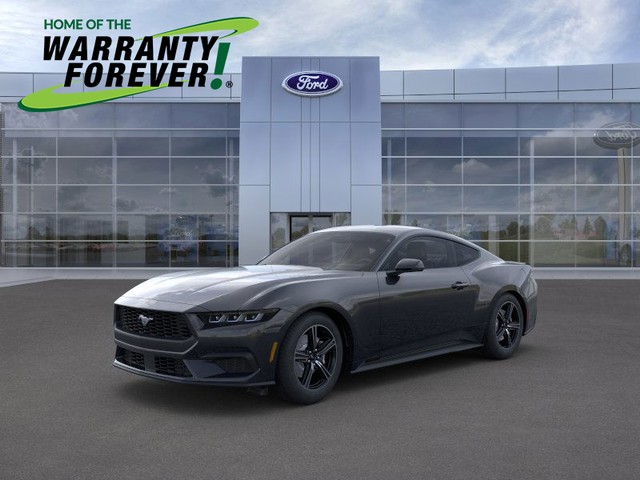 more details - ford mustang