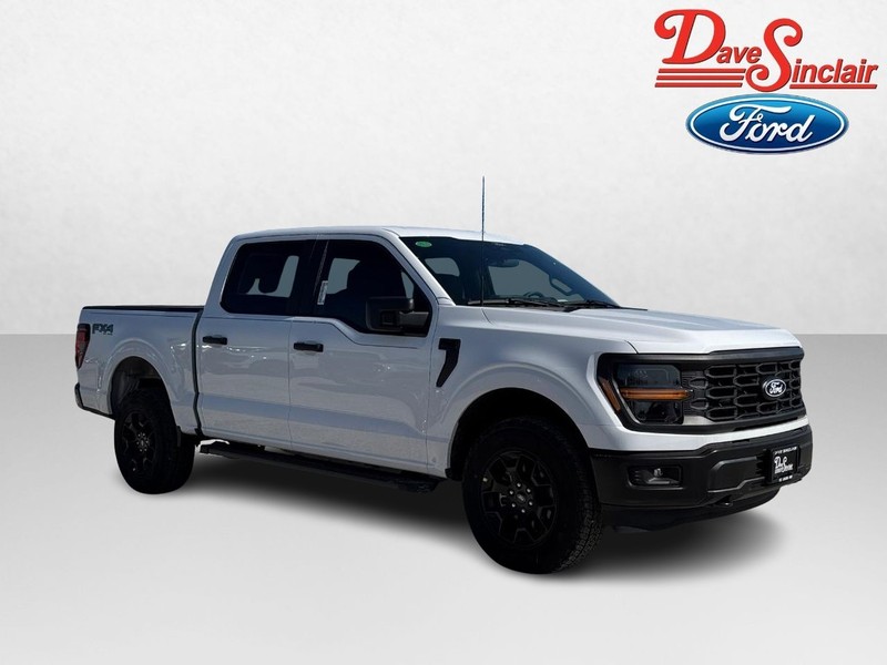Ford F-150 Vehicle Image 04