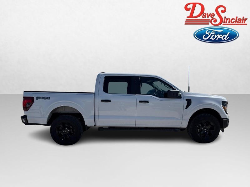 Ford F-150 Vehicle Image 05