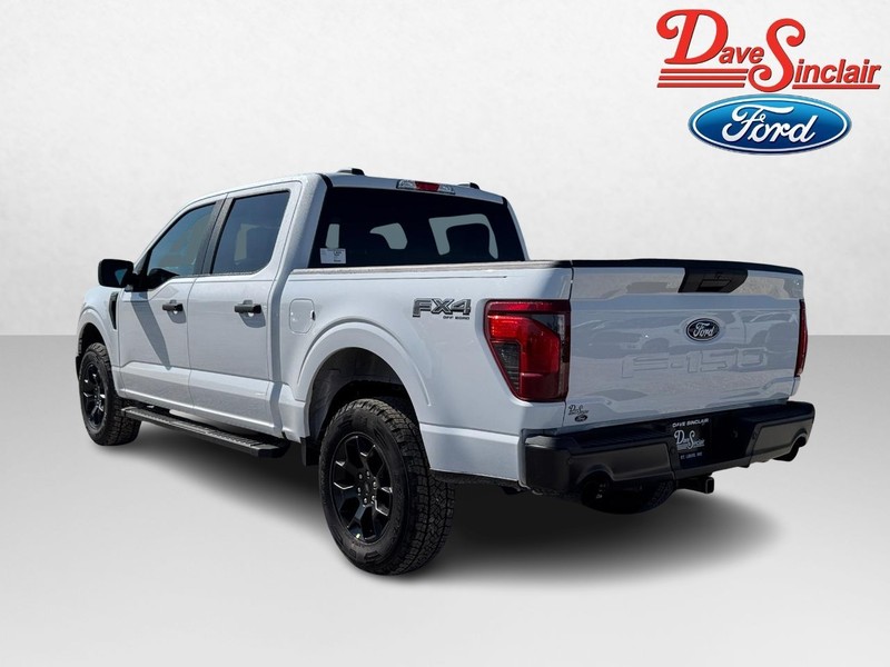 Ford F-150 Vehicle Image 09