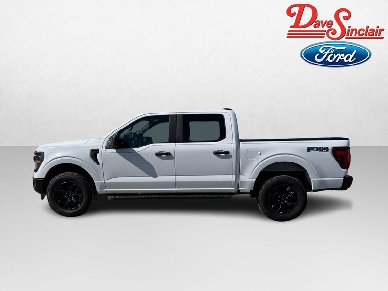 Ford F-150 Vehicle Image 10