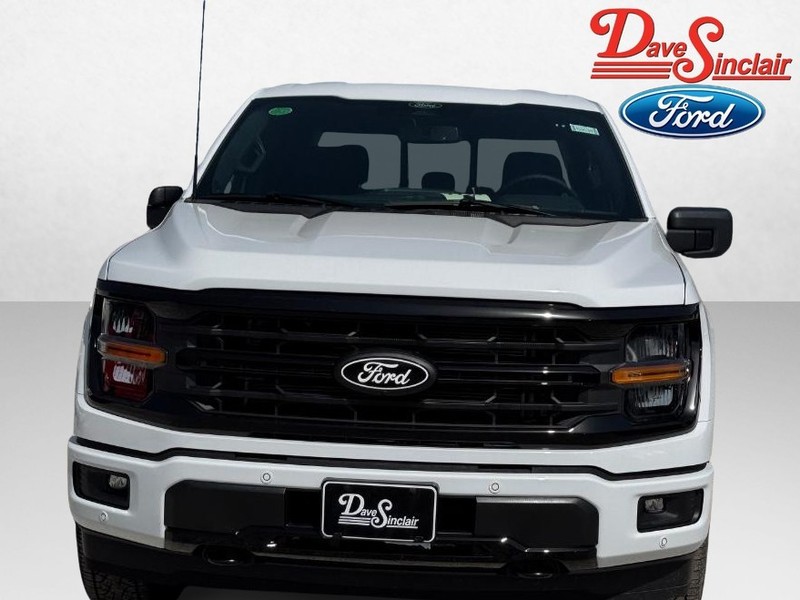 Ford F-150 Vehicle Image 02