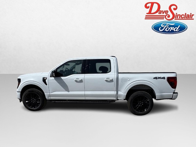 Ford F-150 Vehicle Image 10