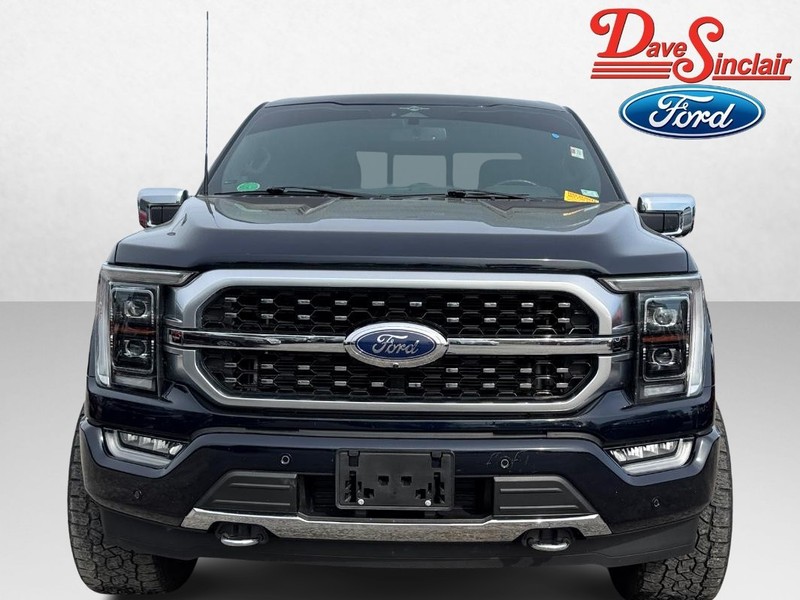 Ford F-150 Vehicle Image 02