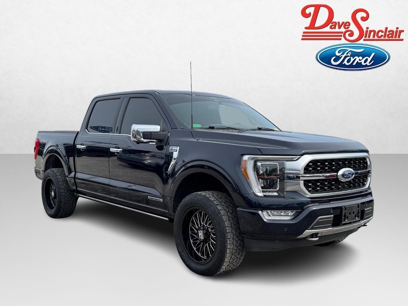 Ford F-150 Vehicle Image 04