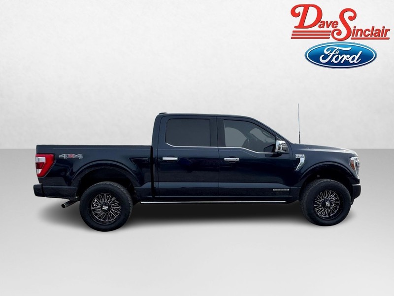 Ford F-150 Vehicle Image 05