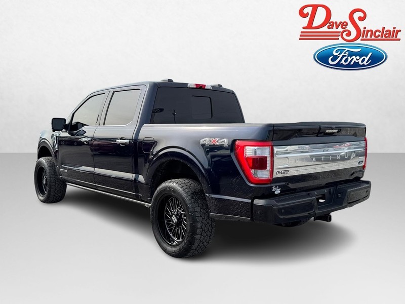Ford F-150 Vehicle Image 09
