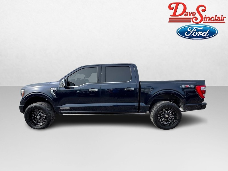 Ford F-150 Vehicle Image 10