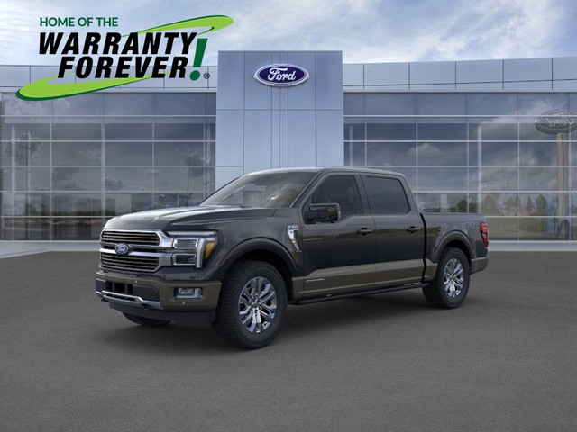 more details - ford f-150