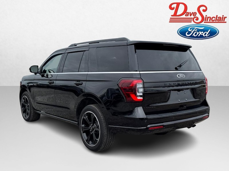 Ford Expedition Vehicle Image 09
