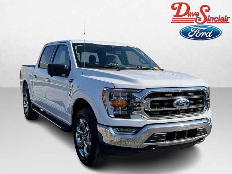 Ford F-150 Vehicle Image 04