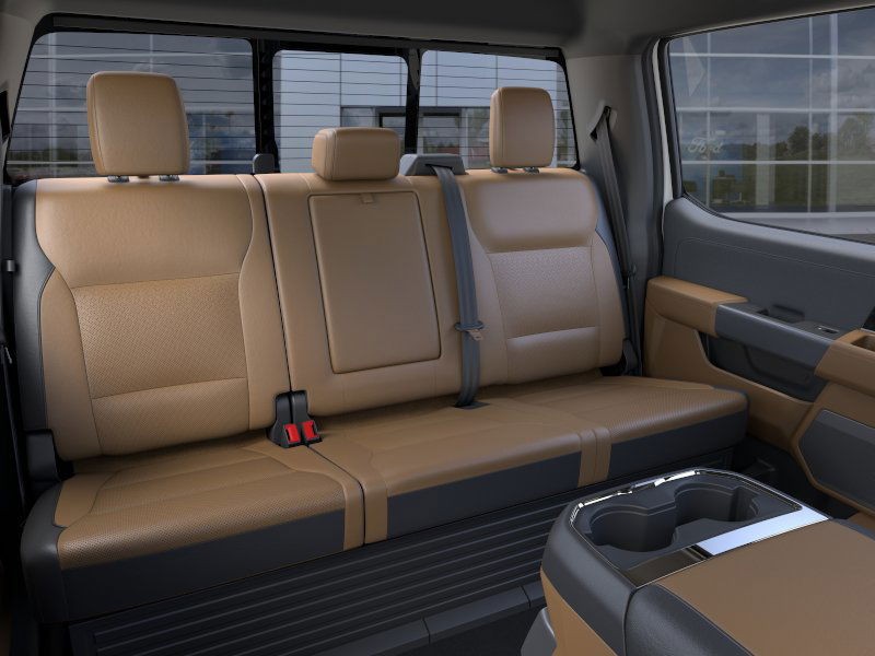Ford Super Duty F-250 SRW Vehicle Image 13