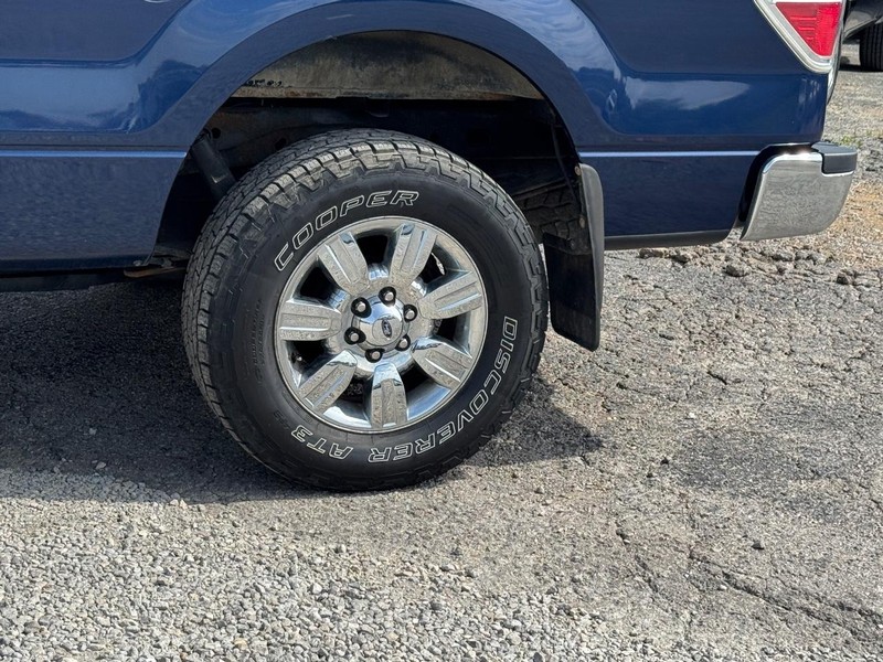 Ford F-150 Vehicle Image 11