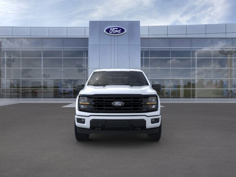 Ford F-150 Vehicle Image 08