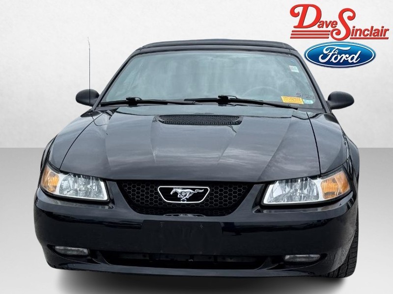 Ford Mustang Vehicle Image 02