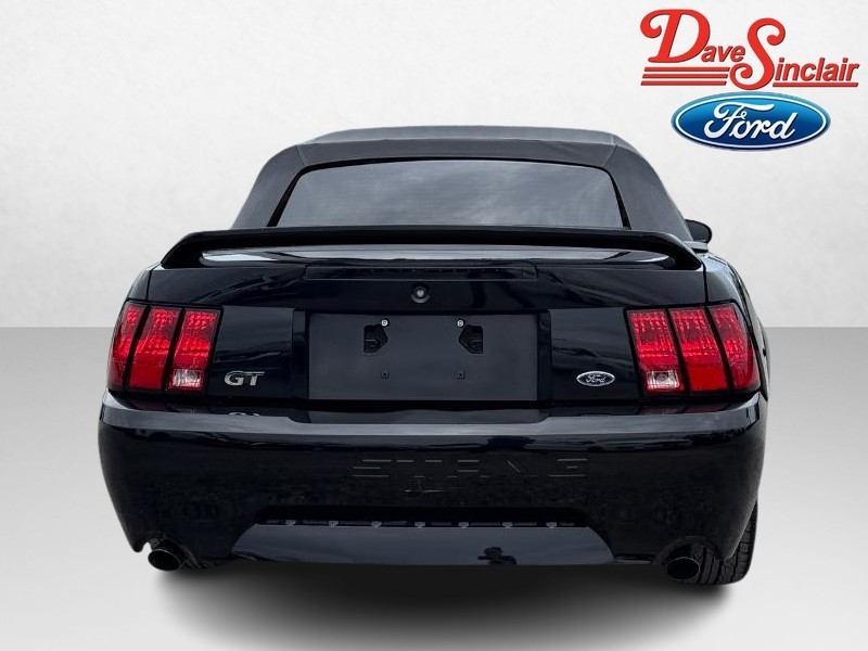 Ford Mustang Vehicle Image 08