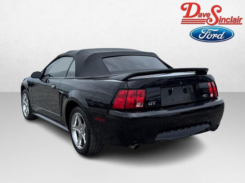Ford Mustang Vehicle Image 09