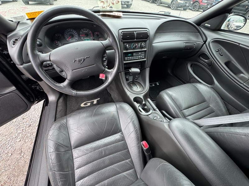 Ford Mustang Vehicle Image 14