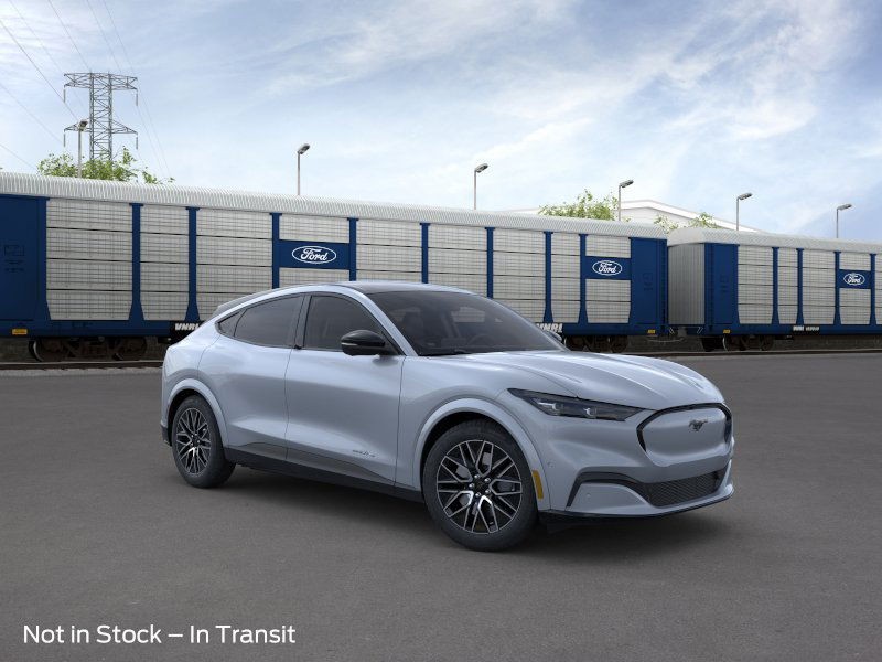 Ford Mustang Mach-E Vehicle Image 09